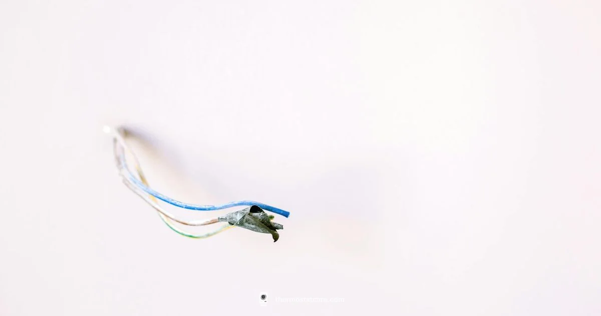 C Wire Guide C Wire Guide - Thermostat Care