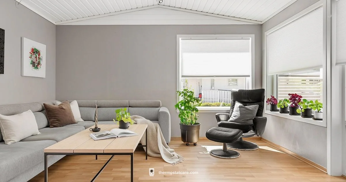 Smart Home Thermostat - Thermostat Care