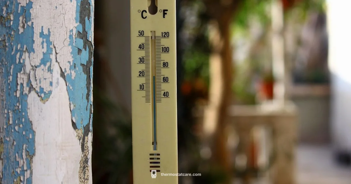 Honeywell Thermometer Guide - Thermostat Care