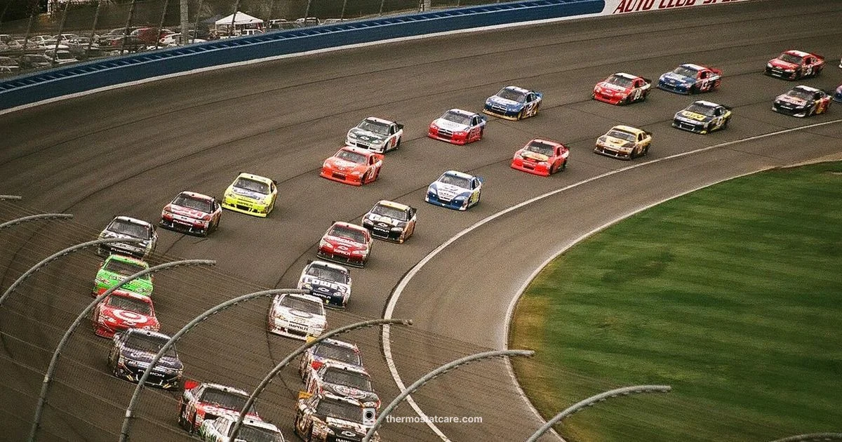 Car Thermostat Guide Car Thermostat Guide - Thermostat Care