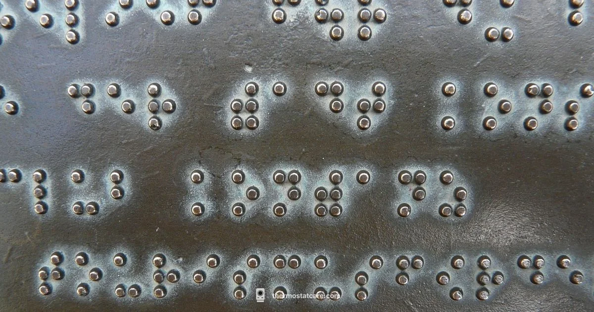 Accessible Thermostat Use - Thermostat Care