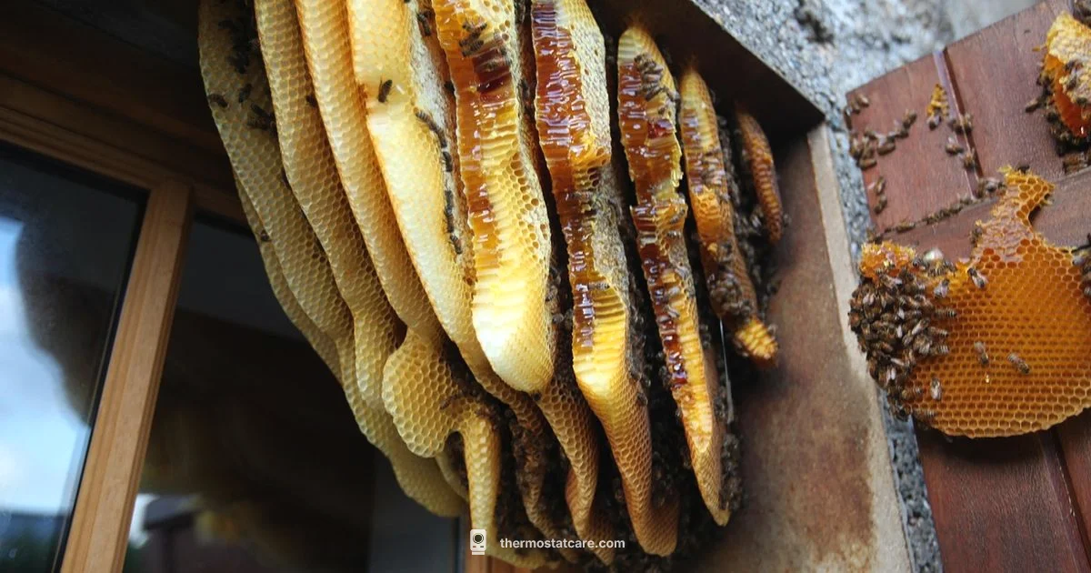 Two Hive Thermostats - Thermostat Care