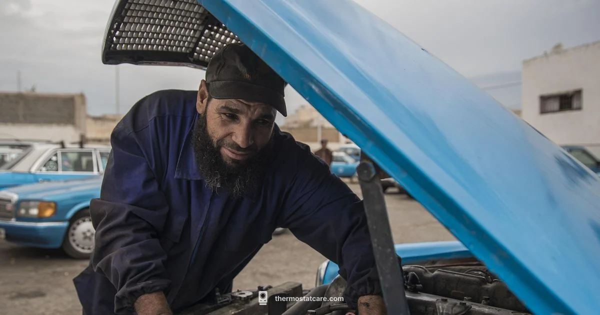 Car Thermostat Replacement Car Thermostat Replacement - Thermostat Care