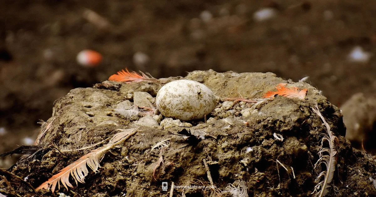 Offline Control Mode - Thermostat Care