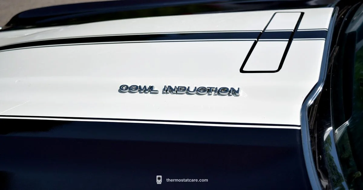 Chevy Thermostat Guide - Thermostat Care