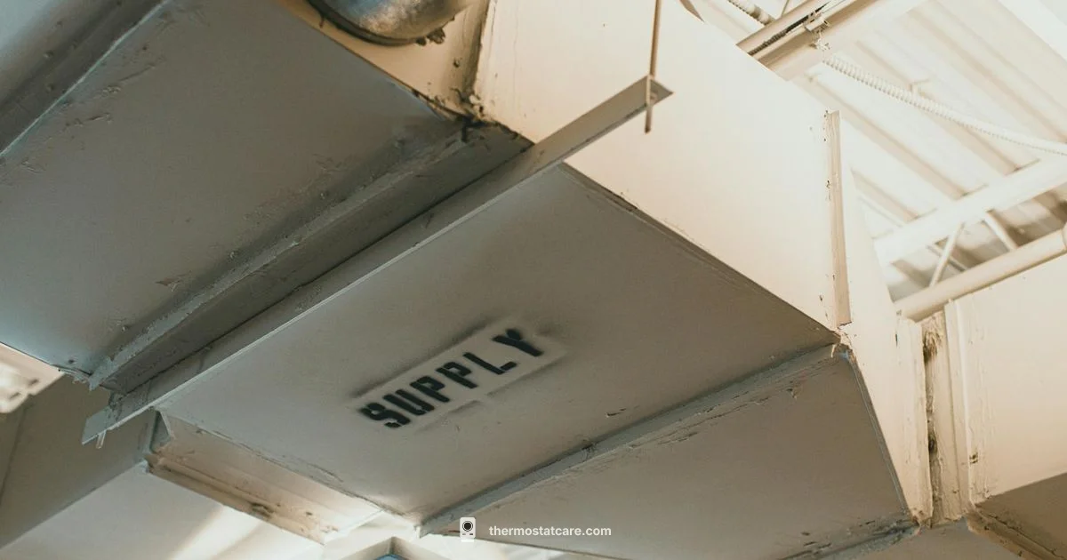 C Wire Guide - Thermostat Care