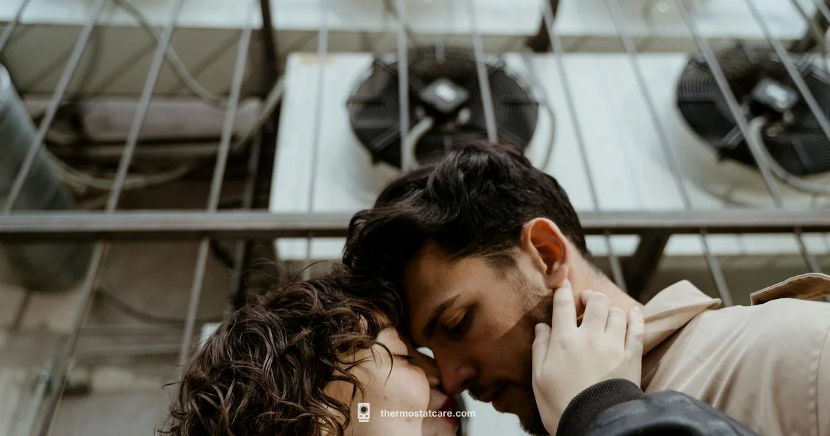 AC Thermostat Replacement - Thermostat Care