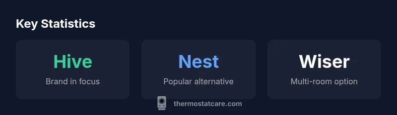 Infographic showing thermostat brands and installation options