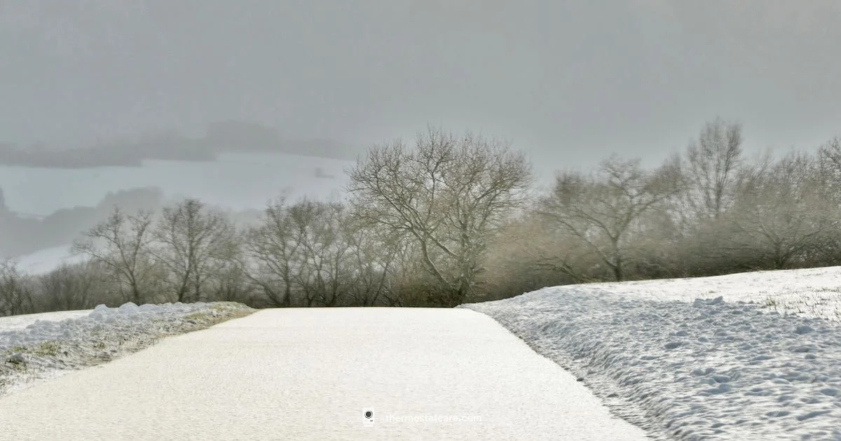 Winter Away Thermostat Winter Away Thermostat - Thermostat Care