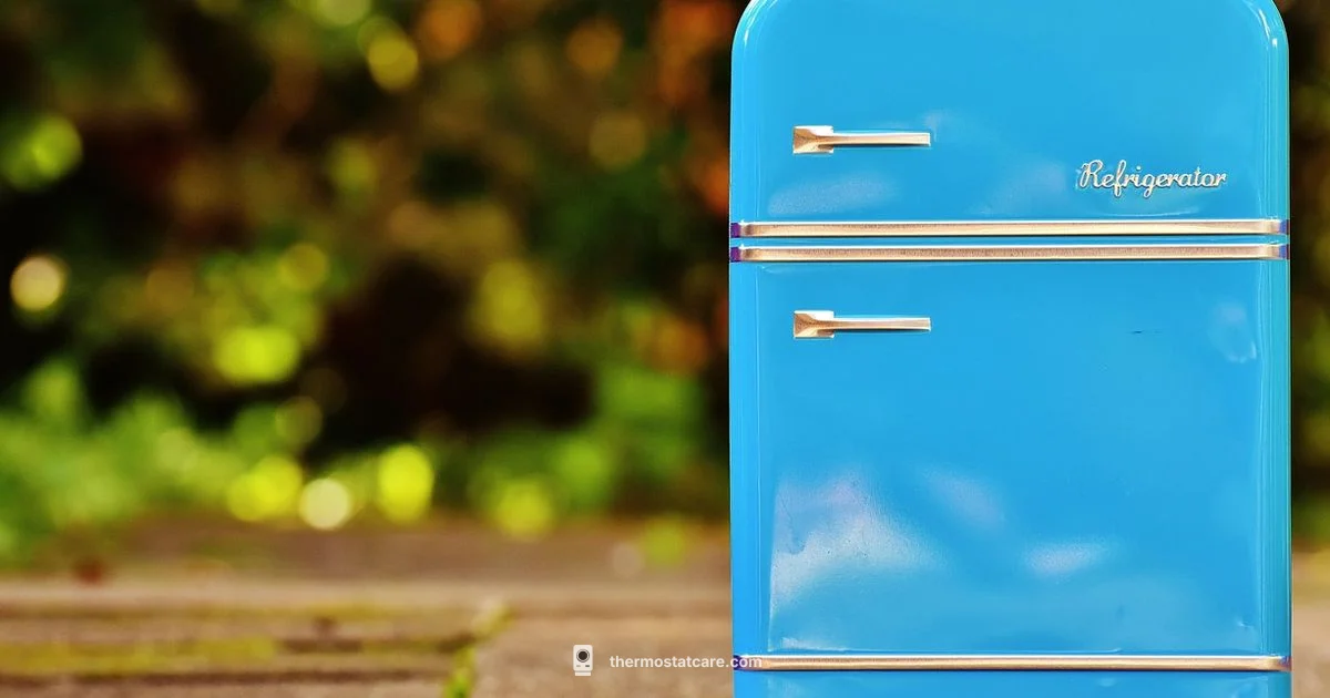 Defrost Thermostat Guide - Thermostat Care