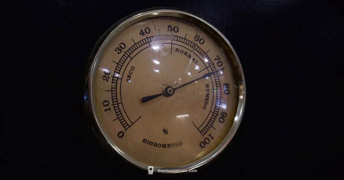 Thermostat Overheating Fix - Thermostat Care