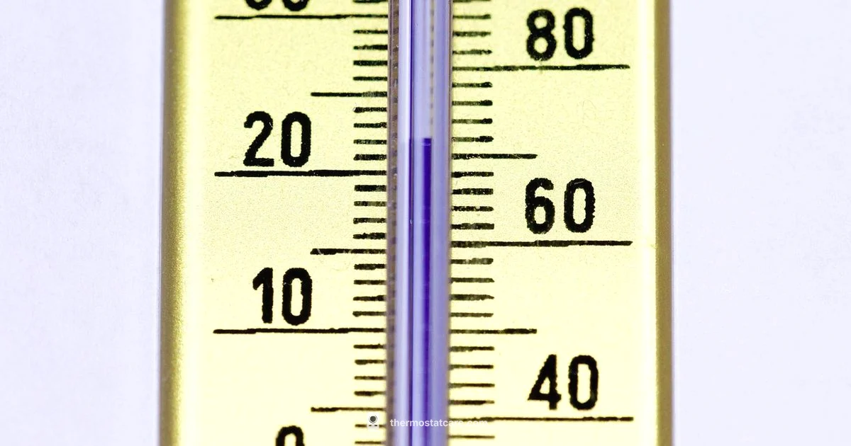 Mercury in Thermostats - Thermostat Care