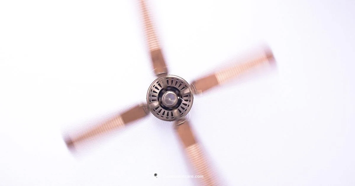 Thermostat Fans Guide - Thermostat Care