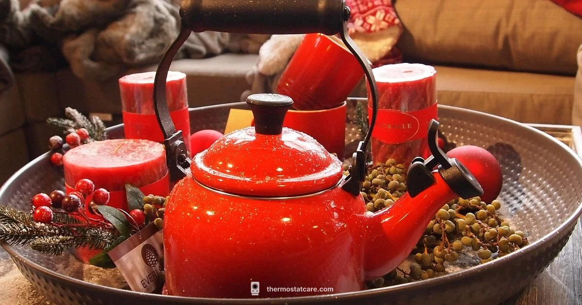 Boiler Smart Thermostat - Thermostat Care