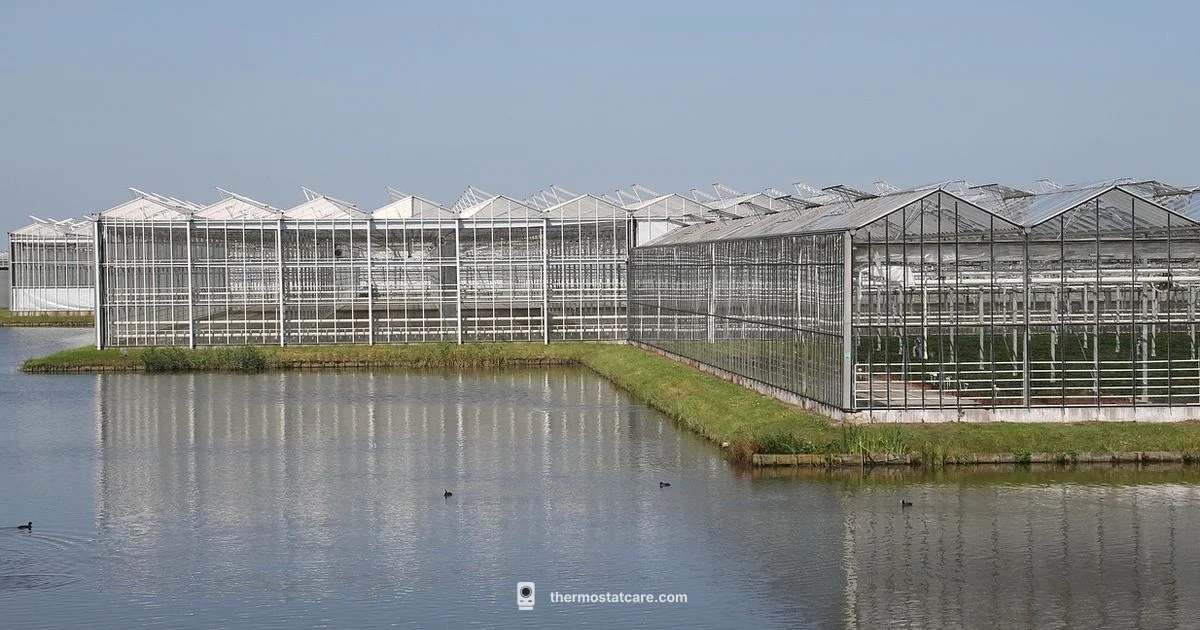 Thermostat Controlled Heat - Thermostat Care