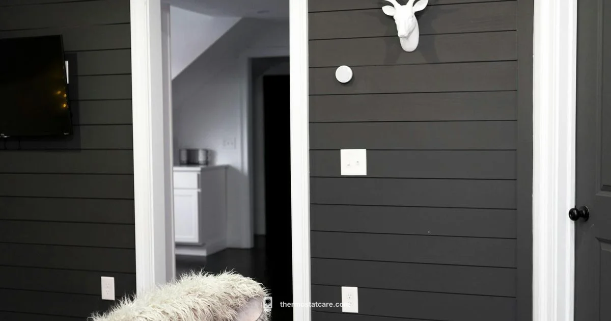 Honeywell comwifi Guide - Thermostat Care