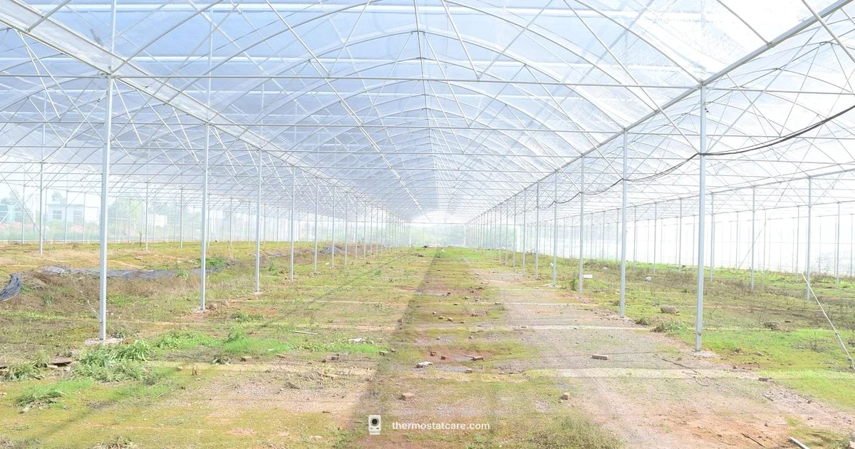 Greenhouse Temp Control - Thermostat Care