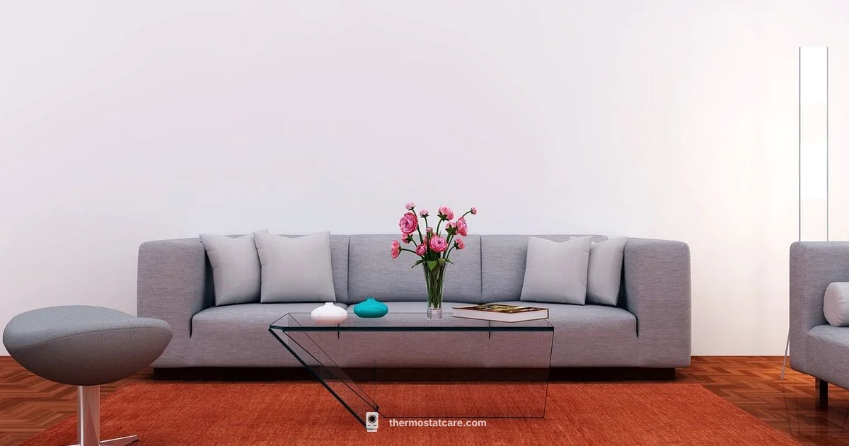 Smart Air Thermostat - Thermostat Care