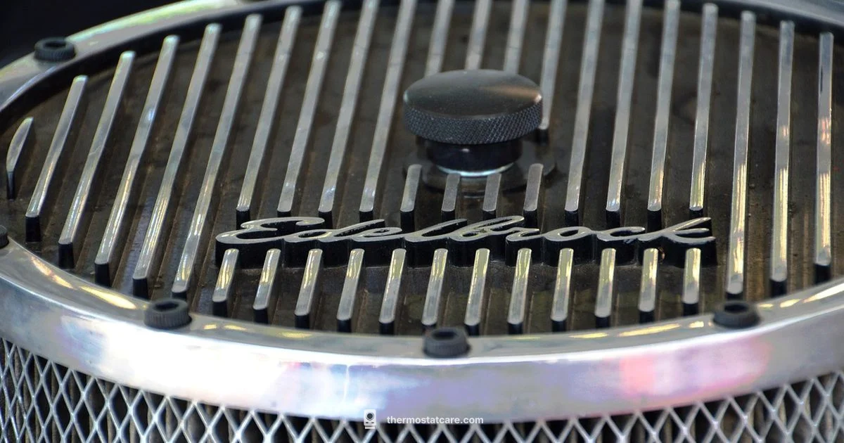 Car Thermostat Basics Car Thermostat Basics - Thermostat Care