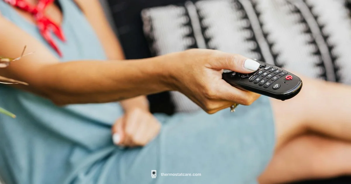 Thermostat Hold Guide Thermostat Hold Guide - Thermostat Care
