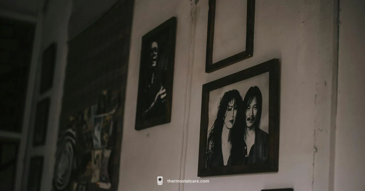 Nest AC Guide - Thermostat Care