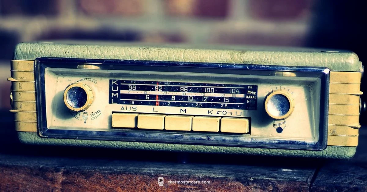 Car Thermostat Troubleshooting - Thermostat Care