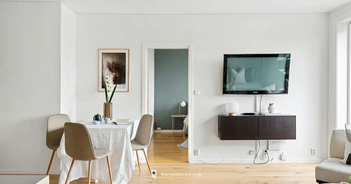 Thermostat vs Thermocouple - Thermostat Care