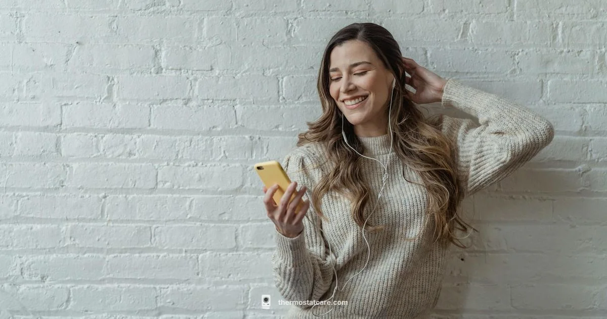 Wi-Fi Setup - Thermostat Care