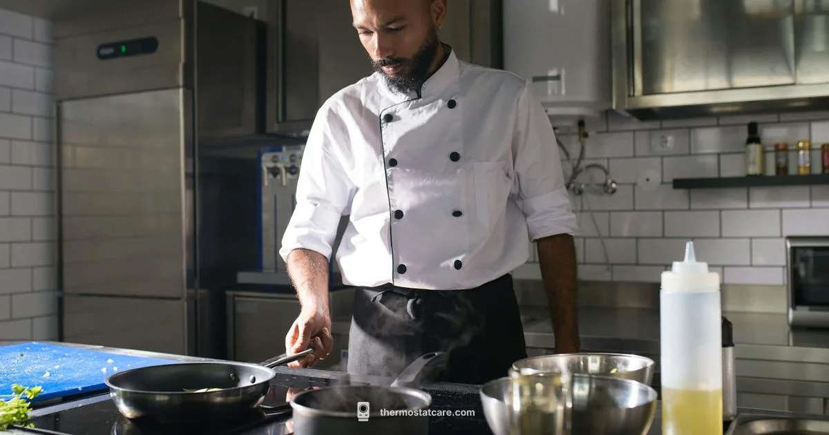 Food Thermostat Essentials - Thermostat Care