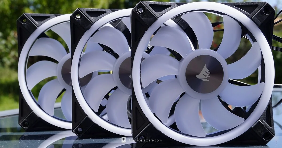 Verdant Fan On Verdant Fan On - Thermostat Care