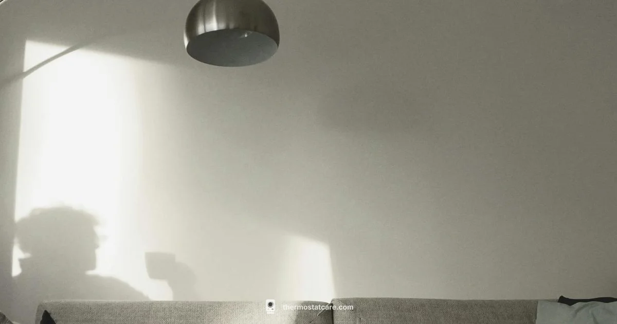 Thermostat Replacement Guide - Thermostat Care