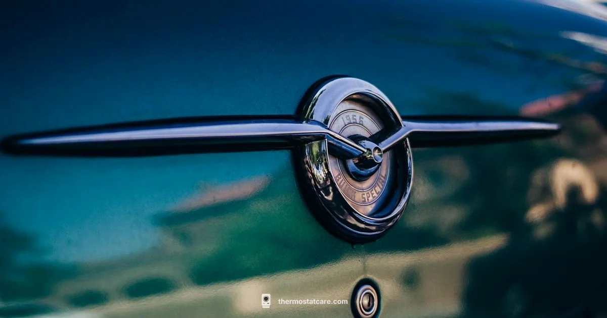 Overheating Car Guide - Thermostat Care