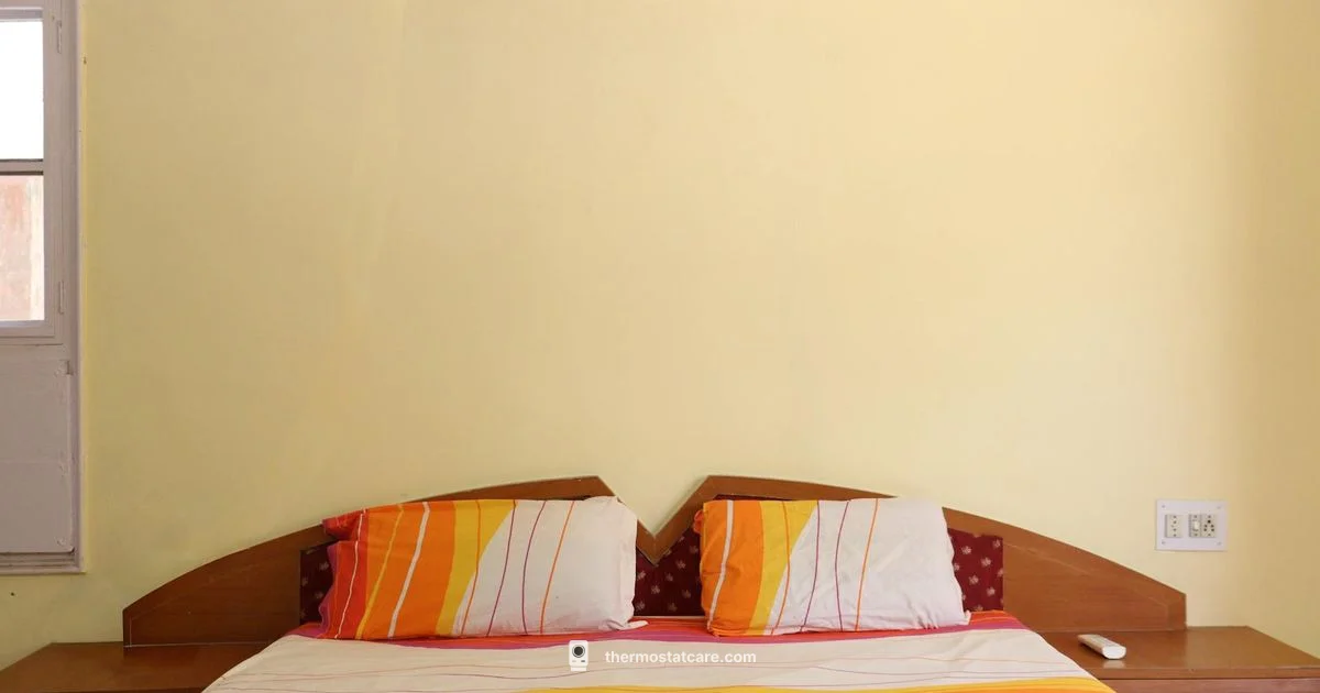 AC Thermostat Essentials - Thermostat Care