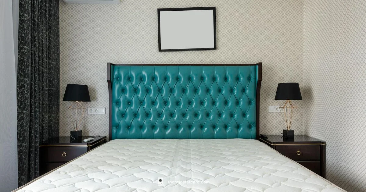 Nest Troubleshooting - Thermostat Care