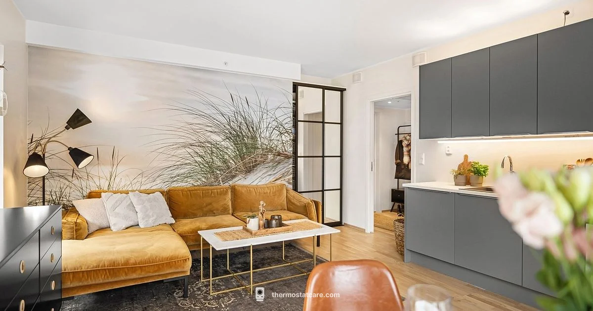 Wireless Thermostats 101 - Thermostat Care