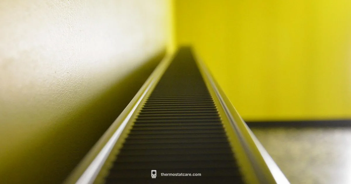 Radiator Thermostat Guide - Thermostat Care