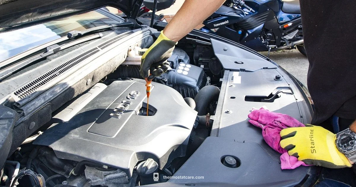 Thermostat Replacement Thermostat Replacement - Thermostat Care