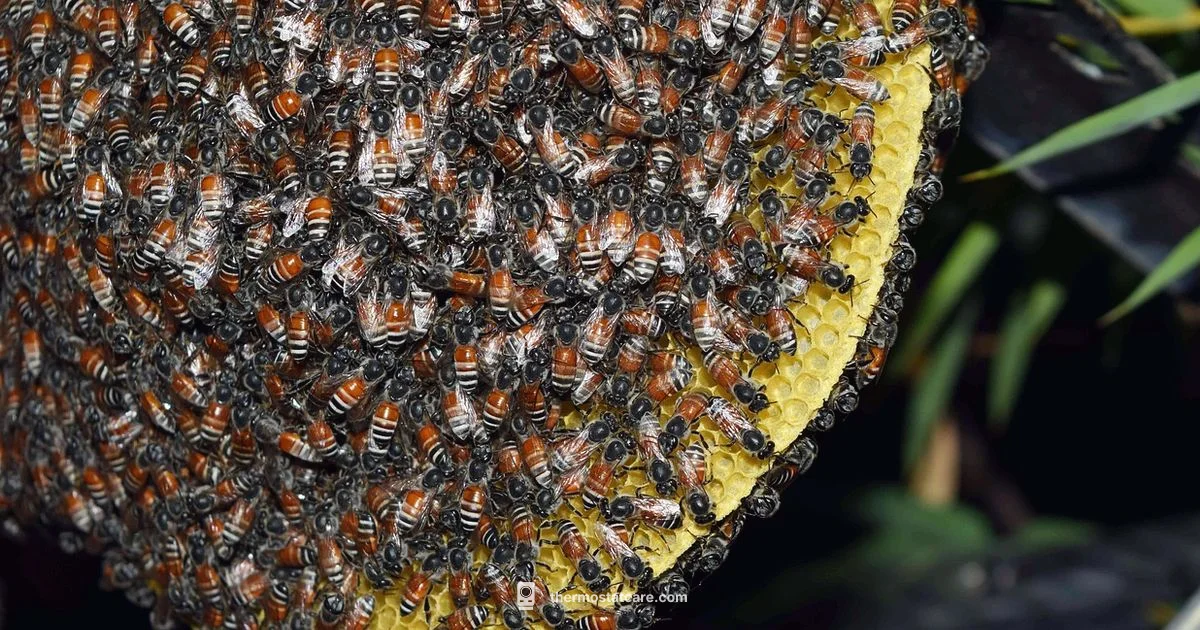 Hive Thermostat Price Hive Thermostat Price - Thermostat Care