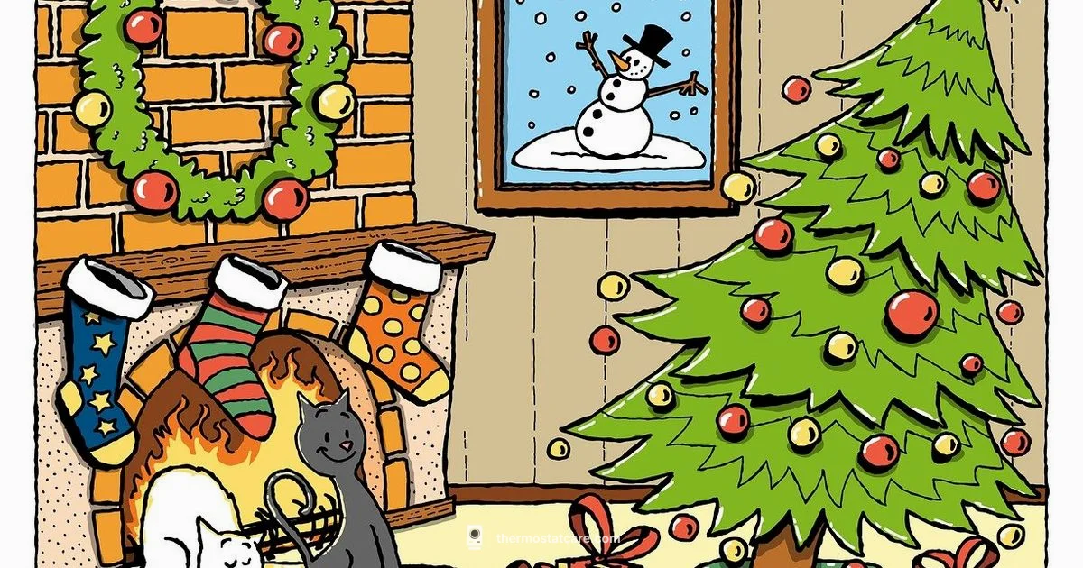 Winter Thermostat Setup - Thermostat Care