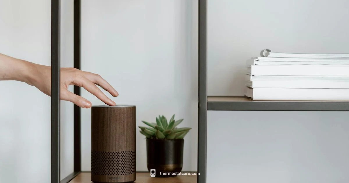 Alexa Thermostat Picks - Thermostat Care