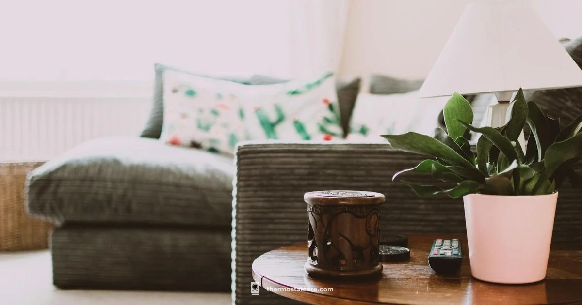 Warmup Thermostat Guide - Thermostat Care