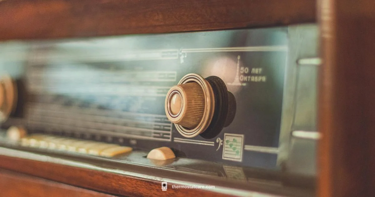 TRV Types Guide - Thermostat Care