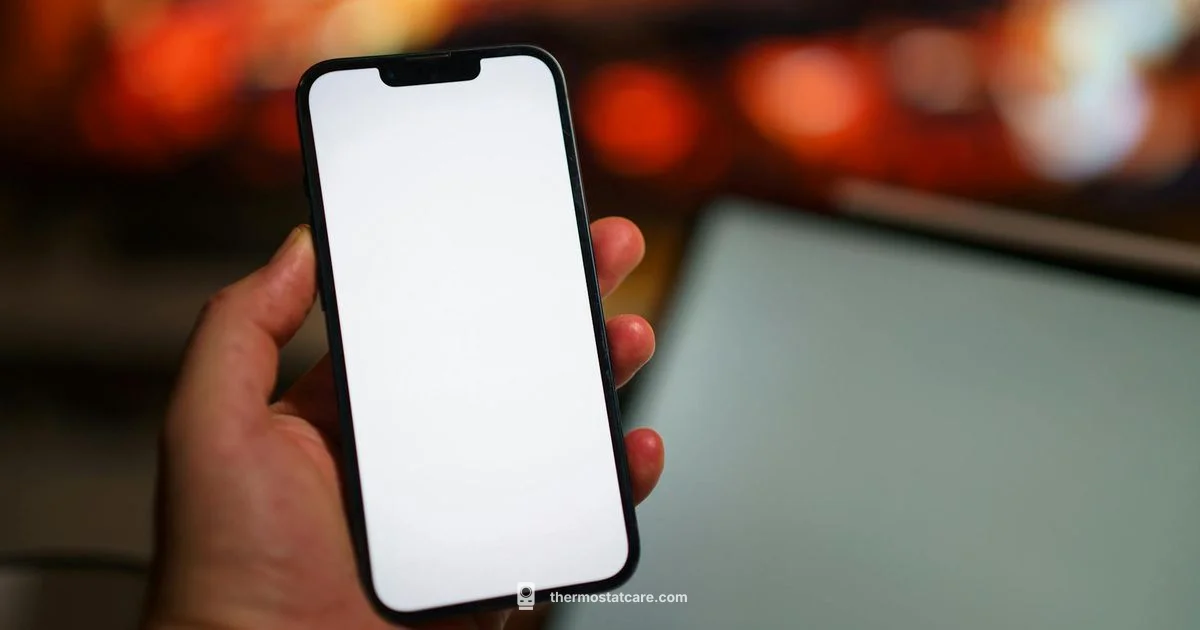 Blank Screen Fix - Thermostat Care