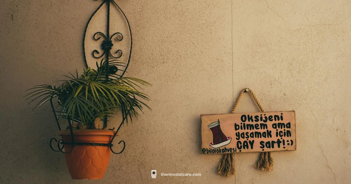 Thermostat Aesthetics - Thermostat Care