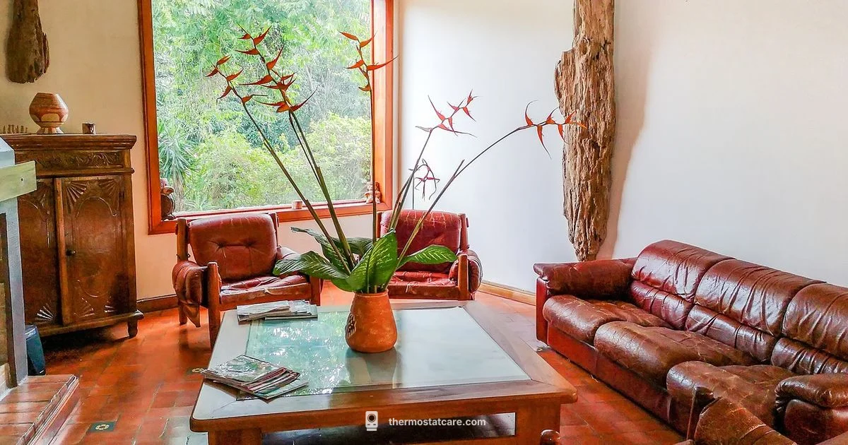 Mercury Thermostats Guide - Thermostat Care