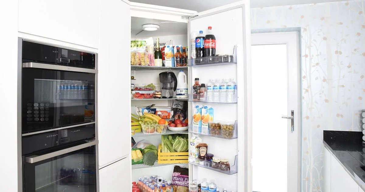 Fridge Thermostat Fix - Thermostat Care