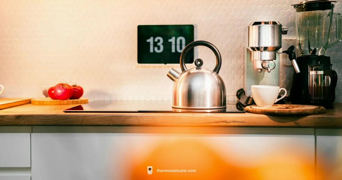 Big Number Thermostat - Thermostat Care