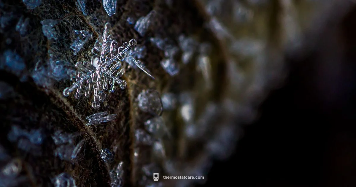 Blinking Snowflake Fix - Thermostat Care