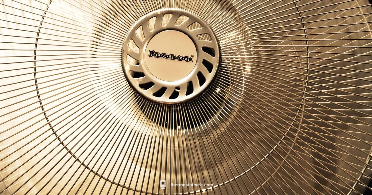 Fan Thermostat Guide - Thermostat Care