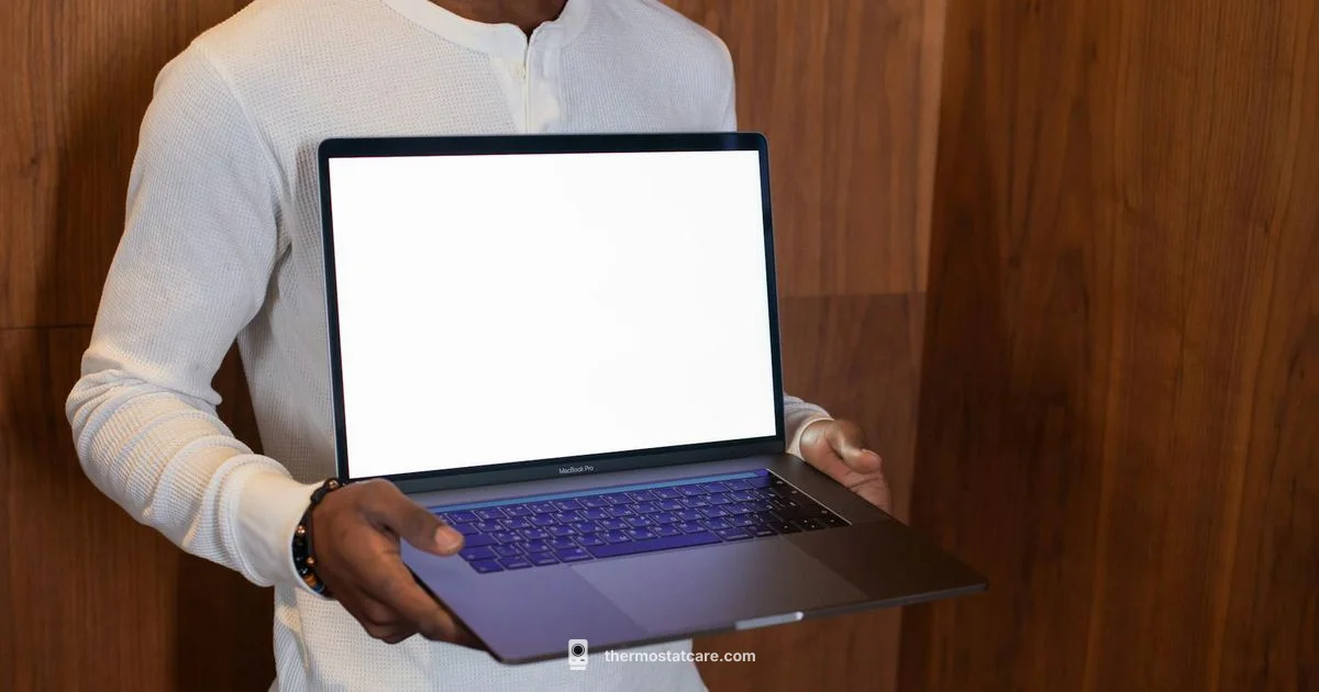 Blank Screen Fix - Thermostat Care